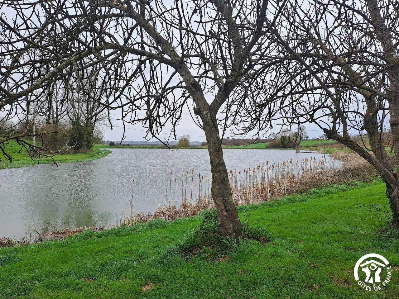 Foto 3 von 28: La Rivaillée