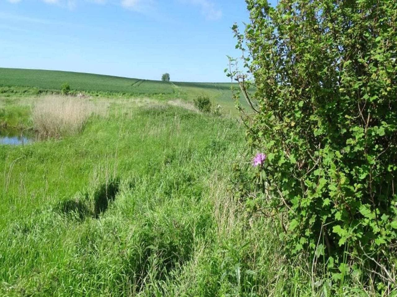 Foto 4 von 39: Charmantes Fischeranwesen