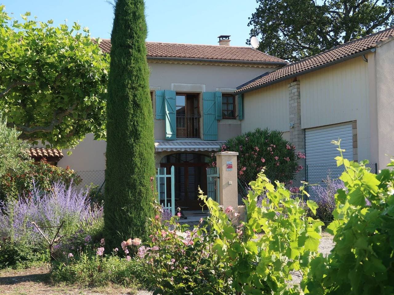 Foto 8 von 20: Le Mas - Le Mas 626.1