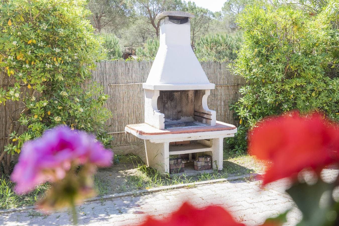 Foto 10 von 14: Ferienwohnung für 4 Personen mit Garten