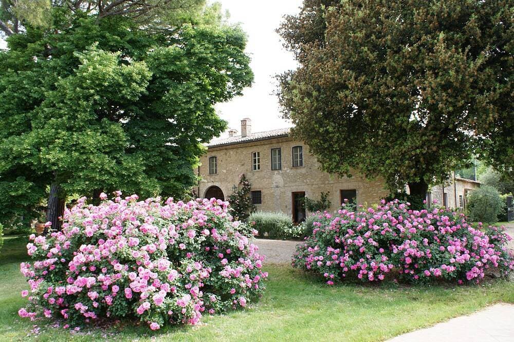 Foto 13 von 28: Landhausvilla mit privatem Pool in Orvieto, Umbrien