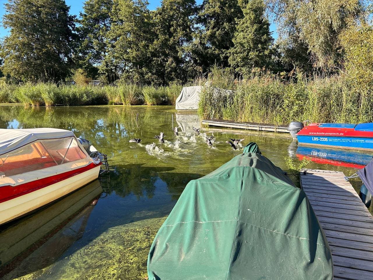 Foto 12 von 19: Am Schwielochsee