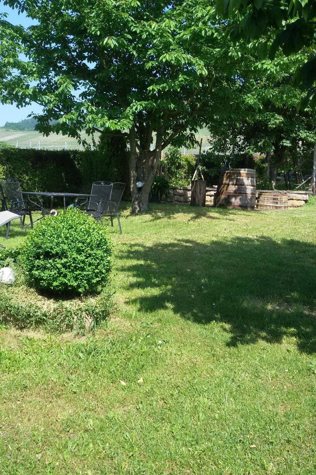 Foto 8 von 9: Wohnung mit Blick auf die Weinberge