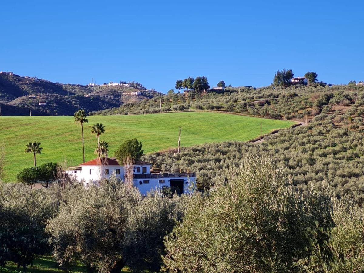 Casa Metaverdi 1