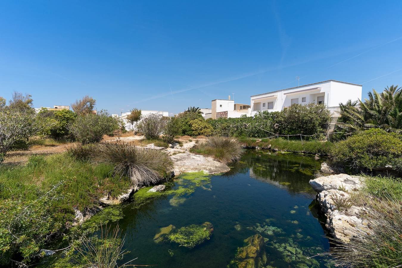 Foto 8 von 27: Residence Jolly Mare - Mono