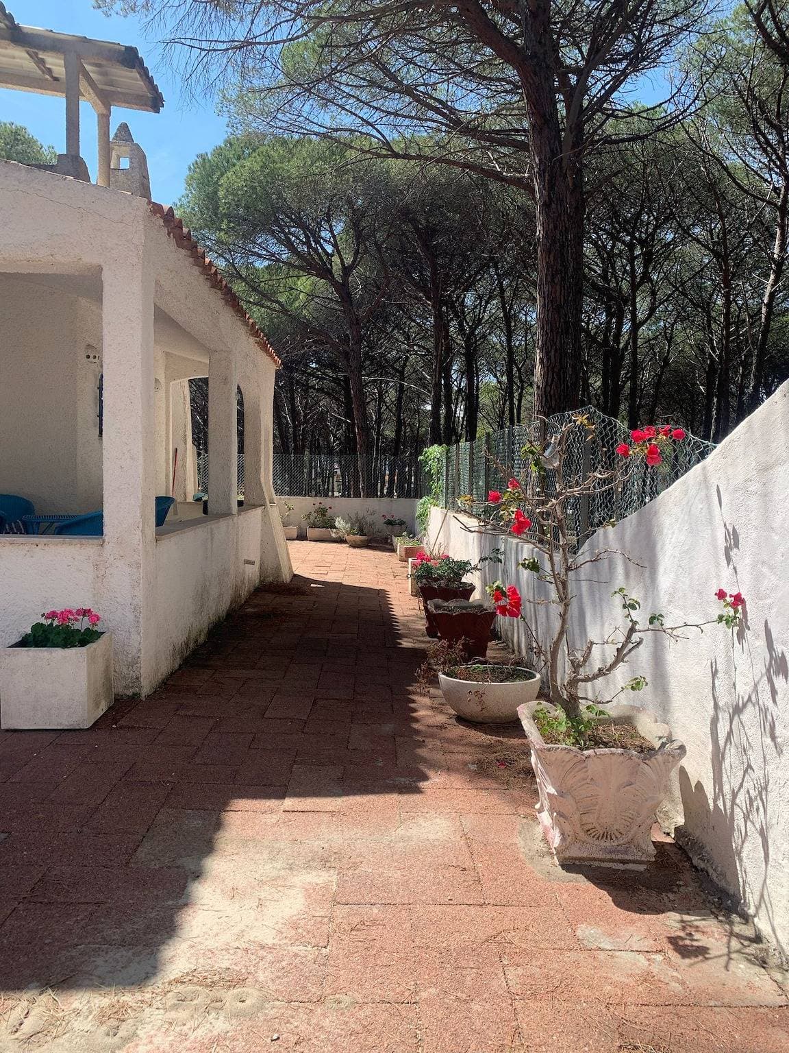 Foto 6 von 25: Herrliche unabhängige Villa, nahe dem Meer