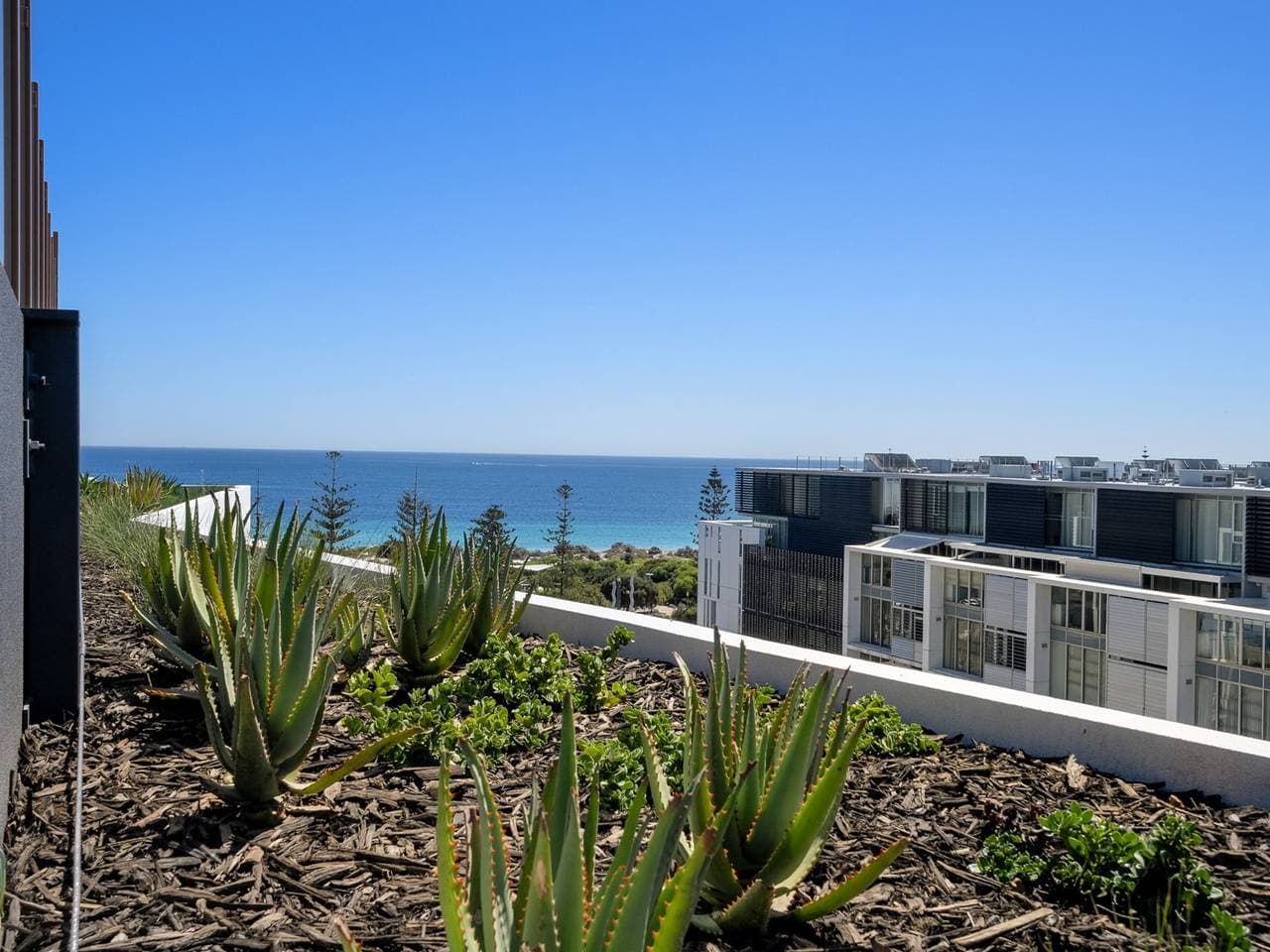 Foto 4 von 35: Heller Studio mit Blick in North Fremantle