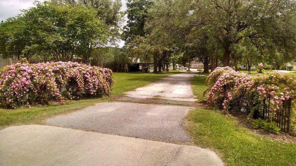 Foto 13 von 24: Bayou Rose Bed und Boudin ... am Ufer des Vermilion River