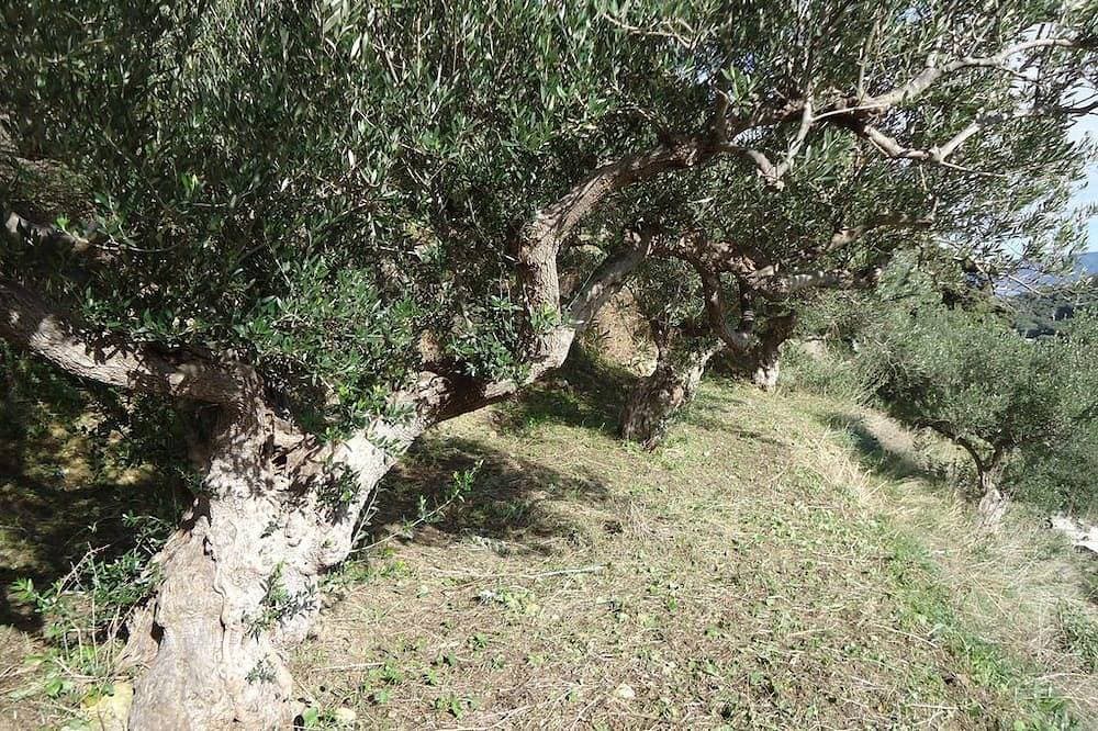Foto 13 von 30: Gäste nennen es \"ein kleines Paradies\"