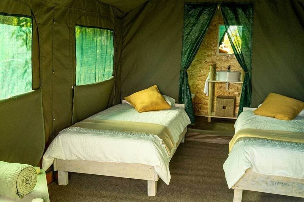 Foto 3 von 19: Safari Glamping Portugal Whale