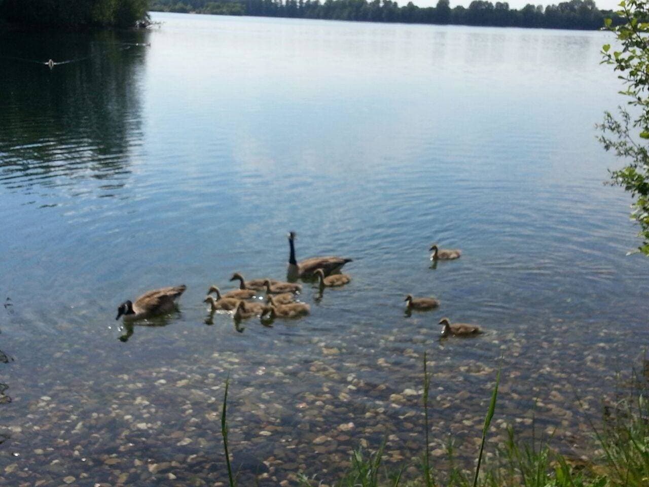 Foto 13 von 16: Lyckedal