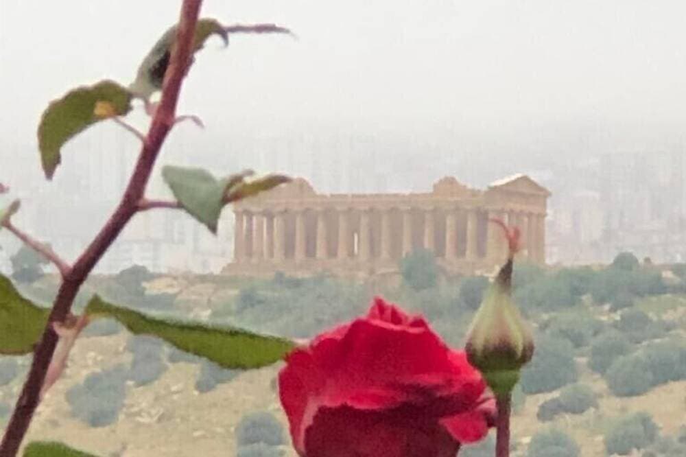 Foto 11 von 27: \"Il Giardino di Athena\" ist ein Ferienhaus im Tal der Tempel
