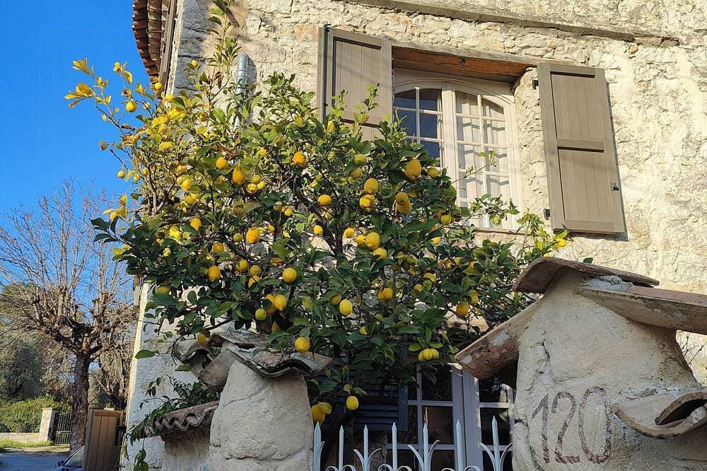 Foto 11 von 23: Historische Provence-Wohnungen in der Nähe von Nizza und Cannes
