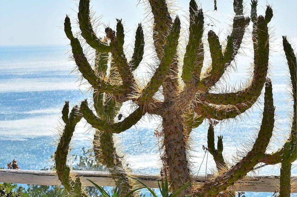 Foto 11 von 30: - Gli Orizzonti di Agata - Wohnung mit weitem Meerblick - Tulipano -