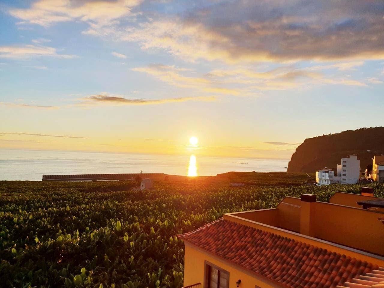 La Palmita Sunset 1