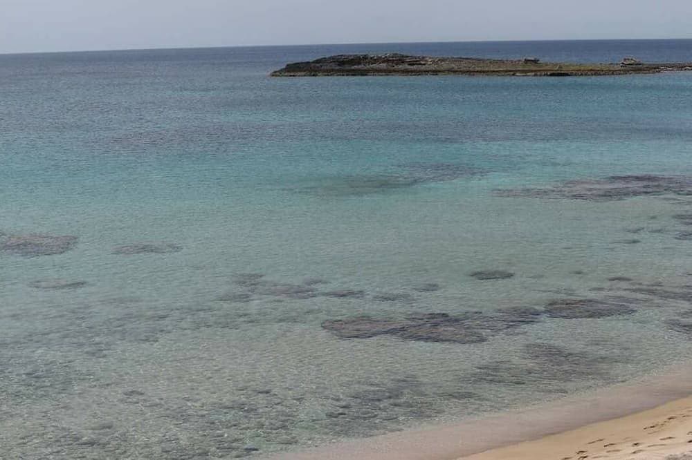 Foto 10 von 12: Ferienhaus am Strand, 30 Meter vom Wasser entfernt