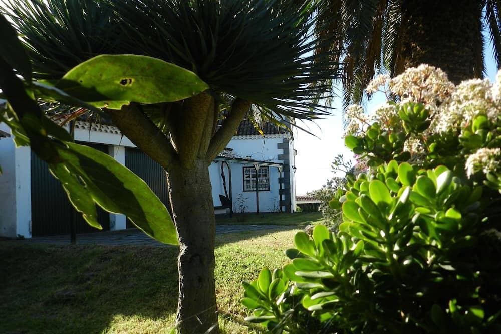 Foto 13 von 30: El Lagar de Piedra in San Juan de la Rambla - Teneriffa