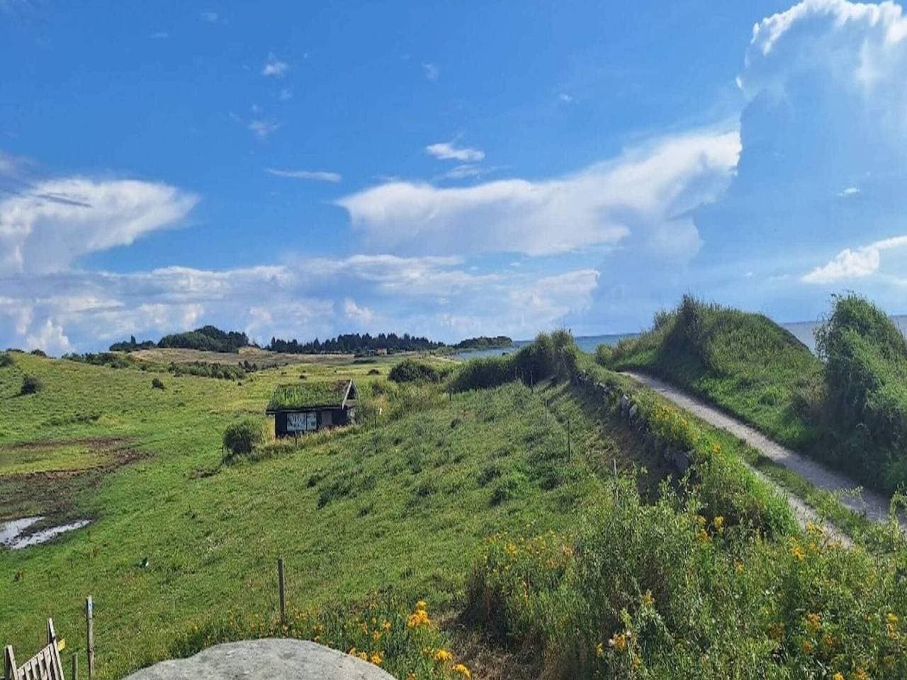 Foto 13 von 36: Kustenzauber in Ristinge