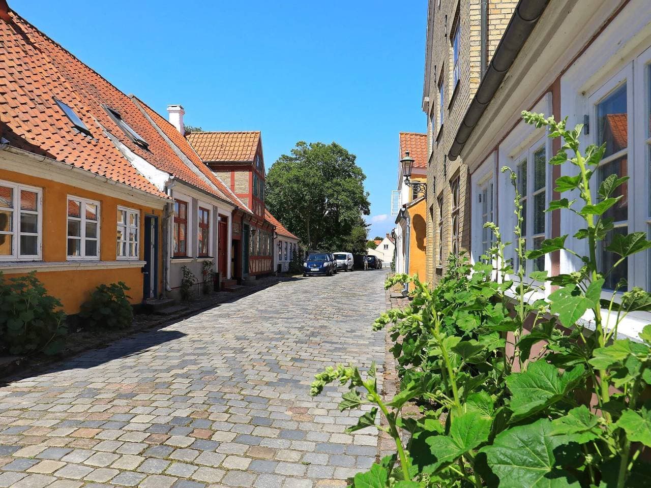 Foto 2 von 20: 3 Personen Ferienhaus in Ærøskøbing
