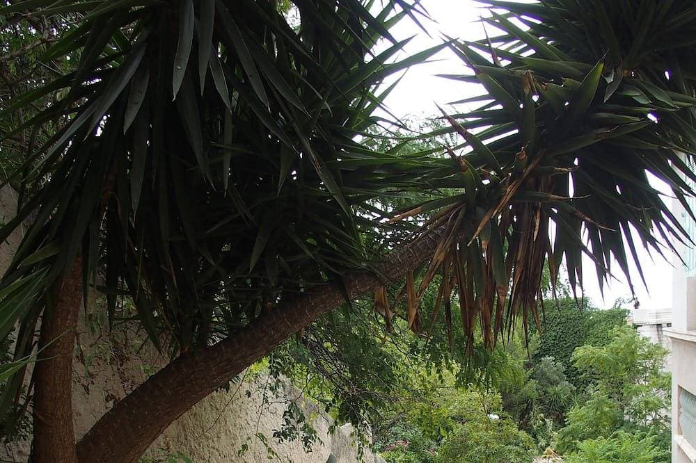 Foto 7 von 16: Ein Balkon über dem Meer. Ein Raum in der Stadt