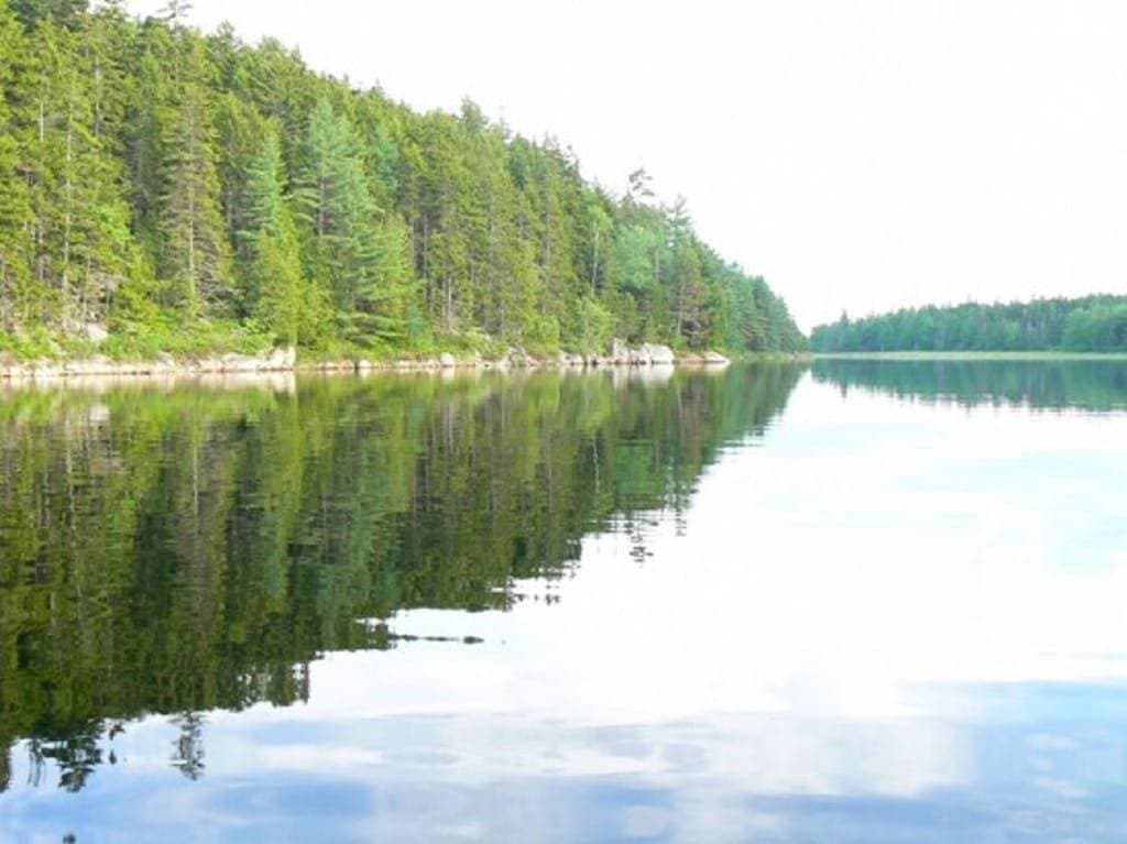 Bootshaus-Leistungsfähigkeits-Ufergegend-Häuschen nahe Acadia Nationalpark 1