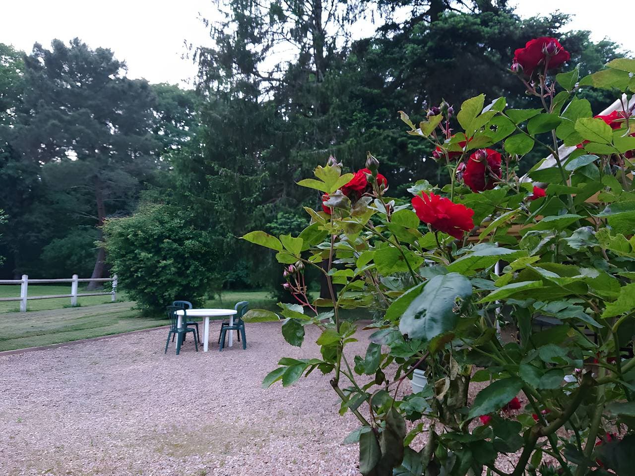 Foto 11 von 26: Bed & Breakfast 'Auberge Marcheroux Zimmer Nr. 4' mit Gemeinschaftsgarten und WLAN