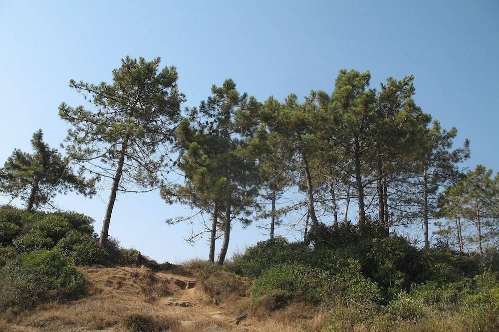 Foto 6 von 13: Mini Villa direct access to the sea 150 m, Courtyard, WIFI, Parking, closed garage