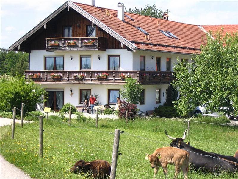 Beim Rieder 1
