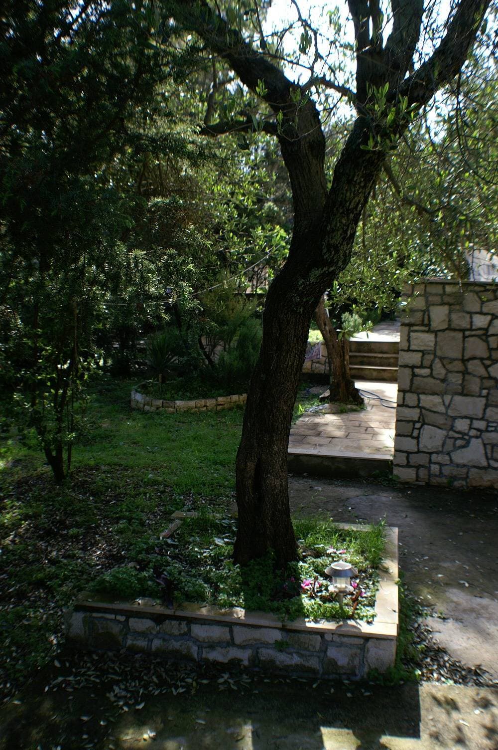 Foto 6 von 24: 2-Zimmer-Ferienwohnung mit Terrasse Zrnovska Banja, Korcula A-3154-b