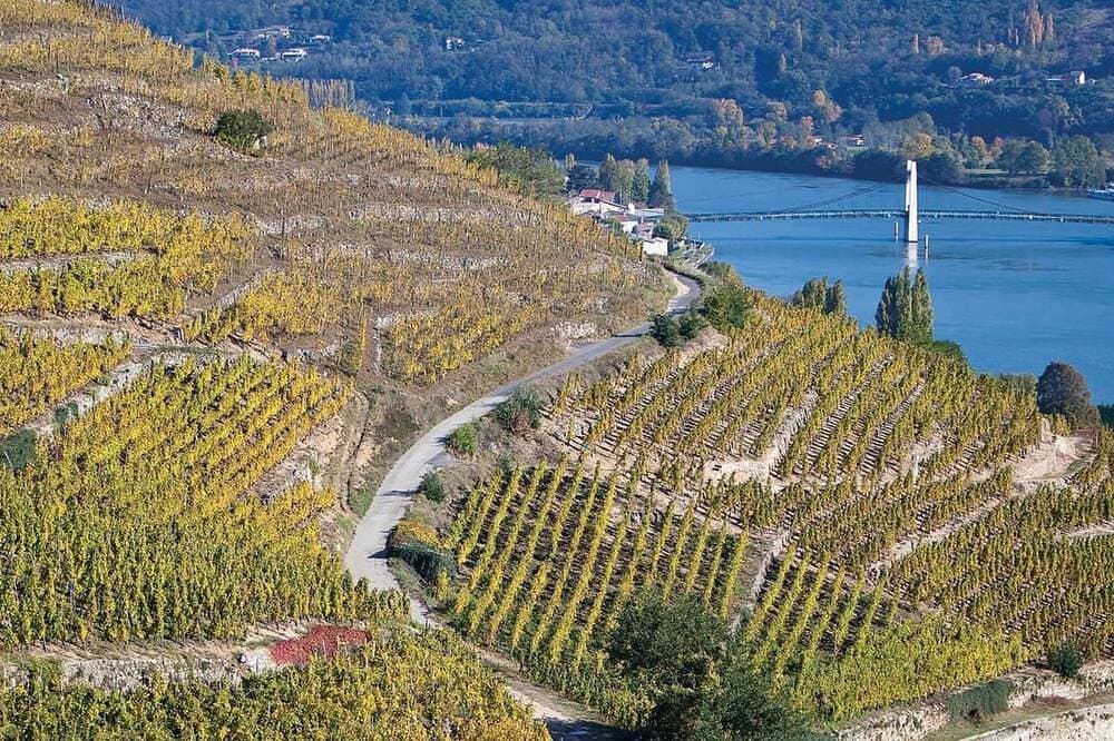 Foto 13 von 22: Die Ufer der Rhone
