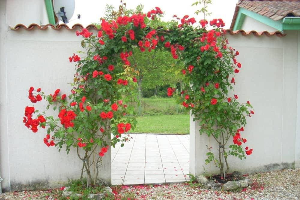 Haus mit Terrasse und Garten in St Méard de Drône, Haustiere erlaubt 1