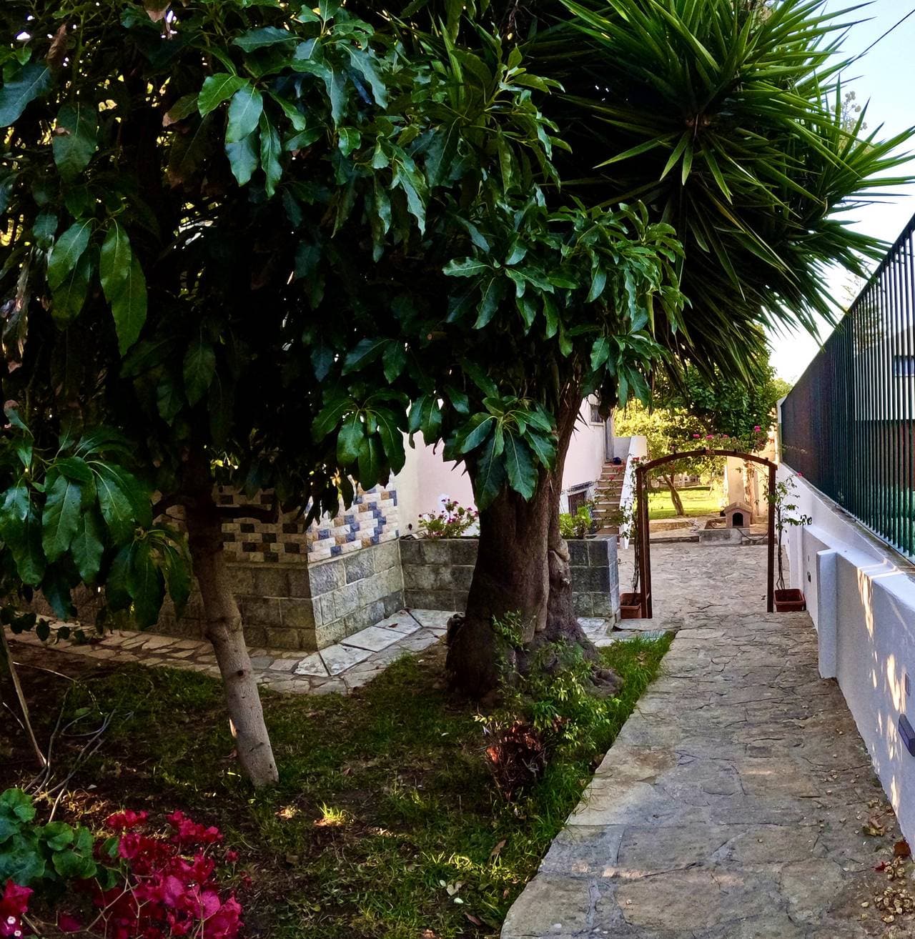 Foto 7 von 116: Flh Yucca House Carcavelos Beach
