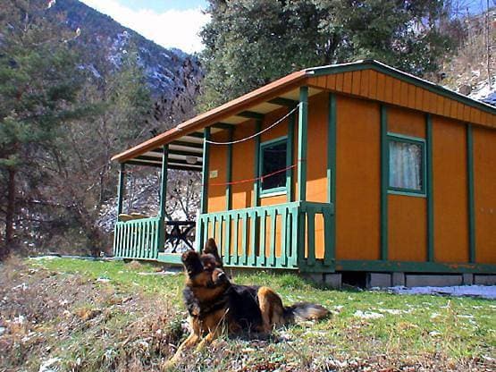chalet-bungalow ombragé 1