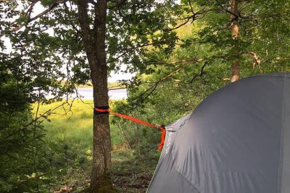 Foto 8 von 8: Tree-tent overlooking lake in private woodland