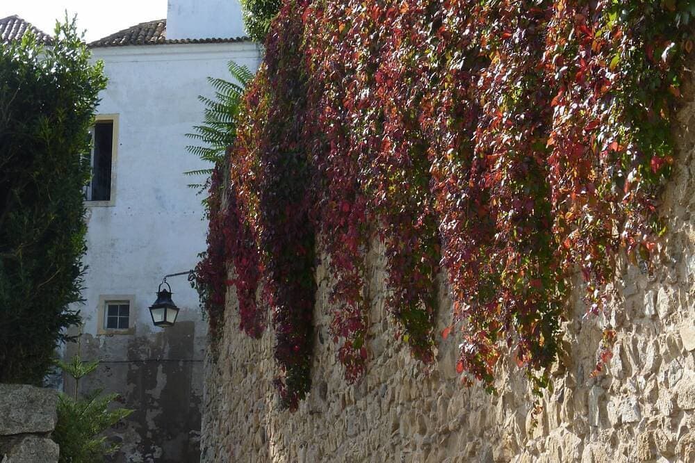 Foto 13 von 26: Páteo dos Oliveira - Casa dos Serviçais
