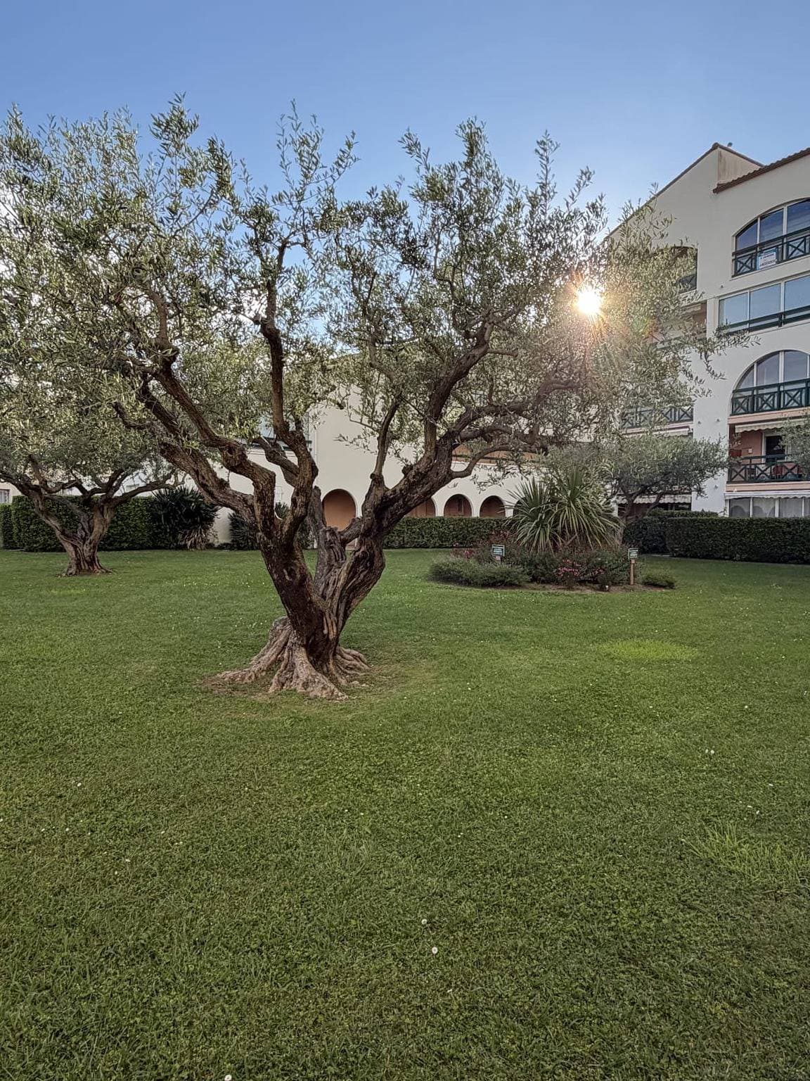 Foto 5 von 31: Terrasses du Lac – vue lac piscine clim parking terrasse