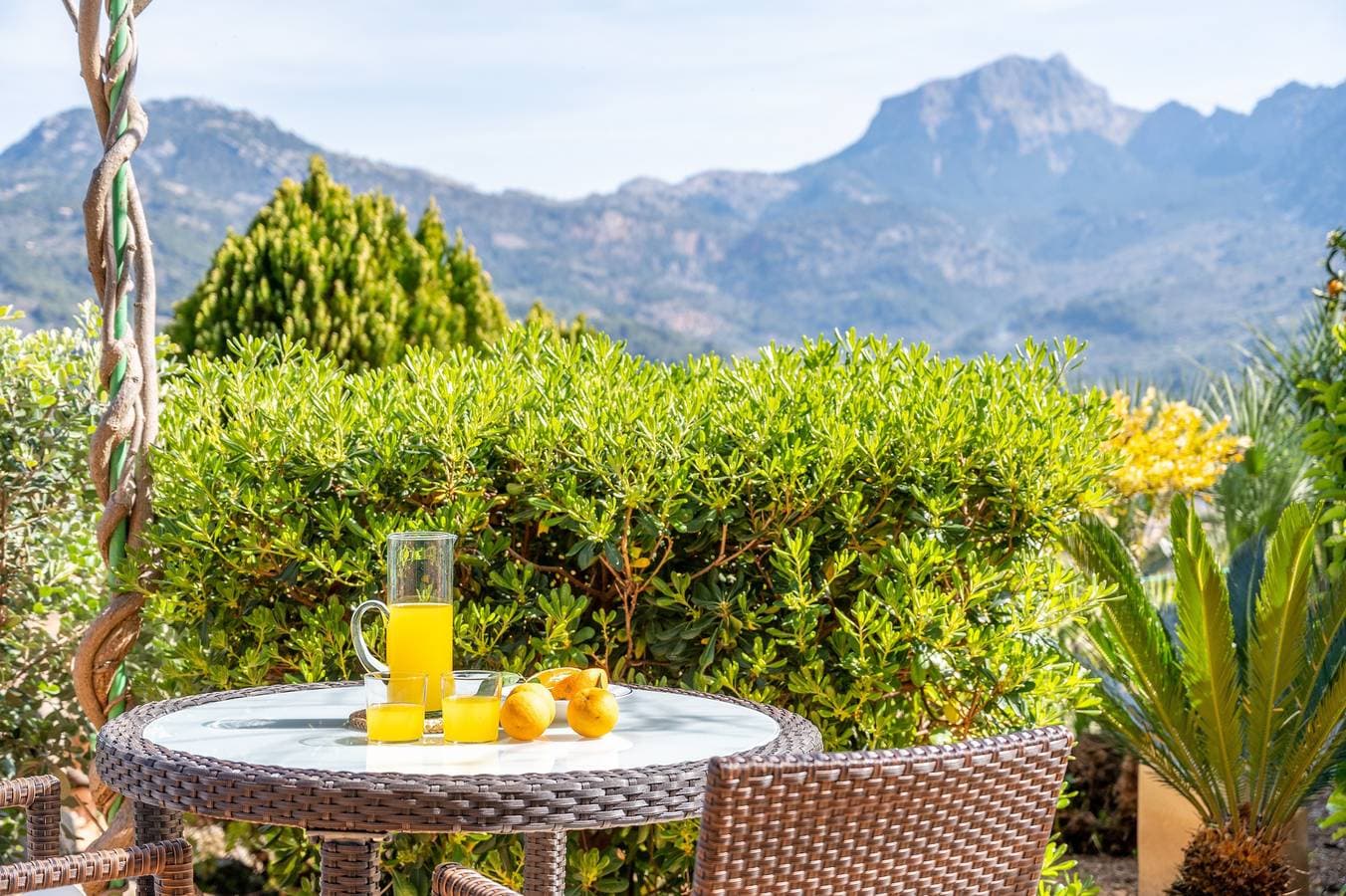 Foto 4 von 25: Ferienhaus 'Can Costurer' im Zitronenhain in Sóller