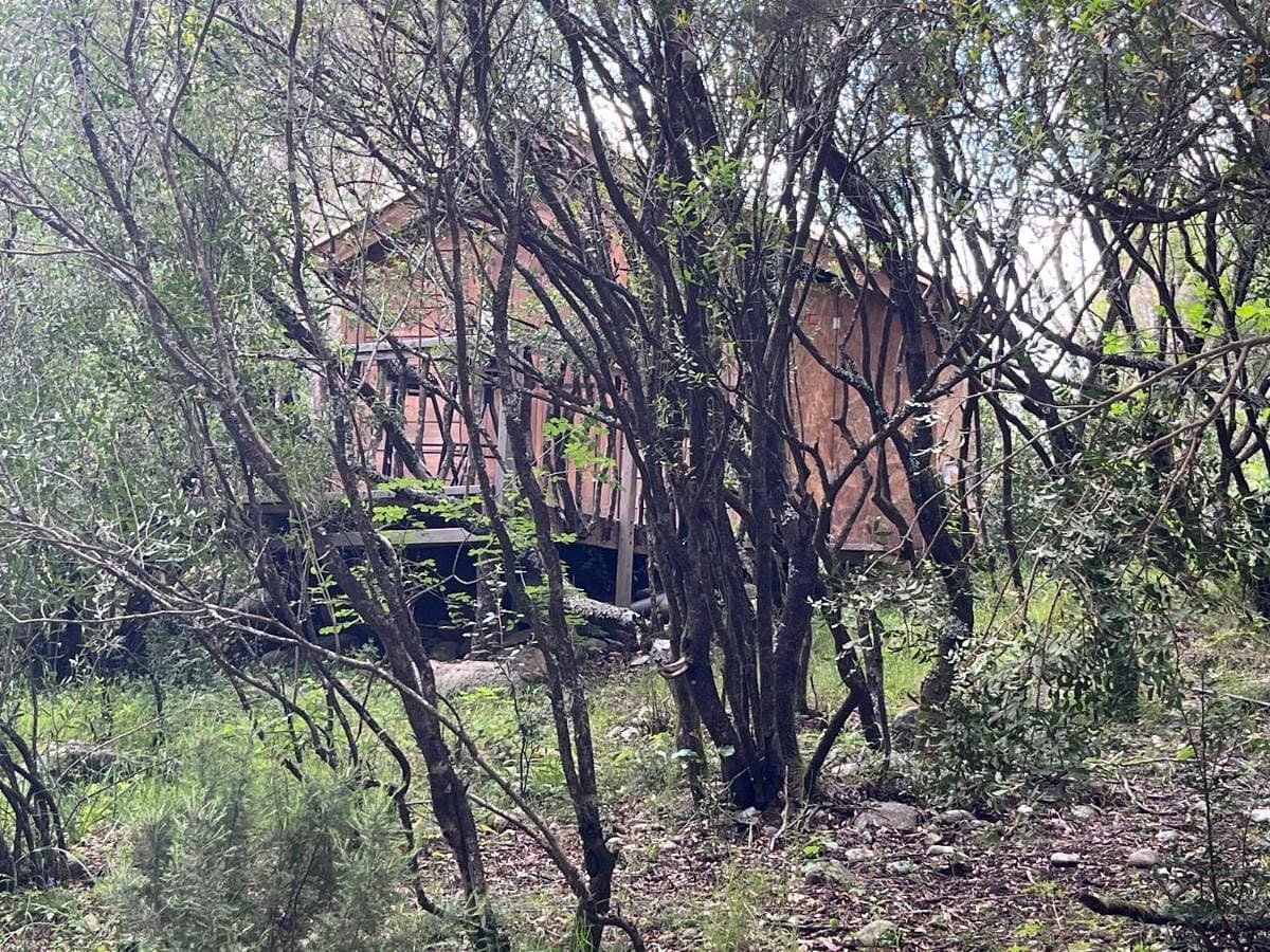 Petit chalet en pleine nature avec accès rivière 1