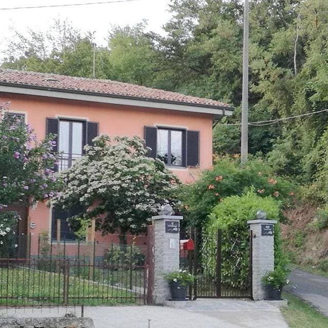 Le rose di Mapi 1