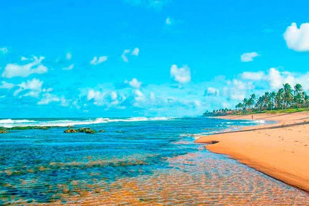 Foto 6 von 47: House 500 meters from Vilas beach, 5 bedrooms, with pool.