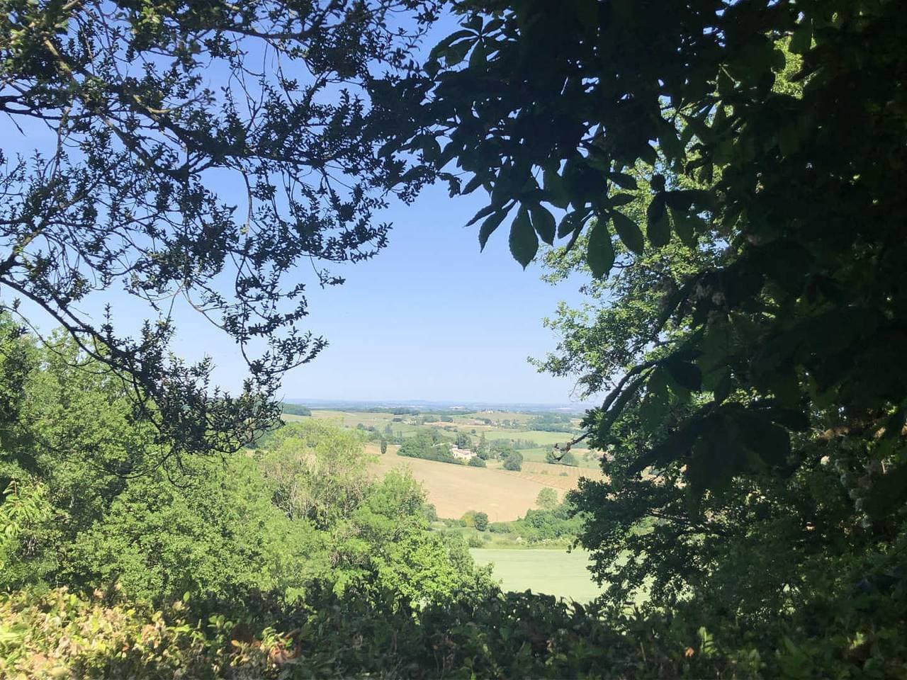 Foto 2 von 28: Vors