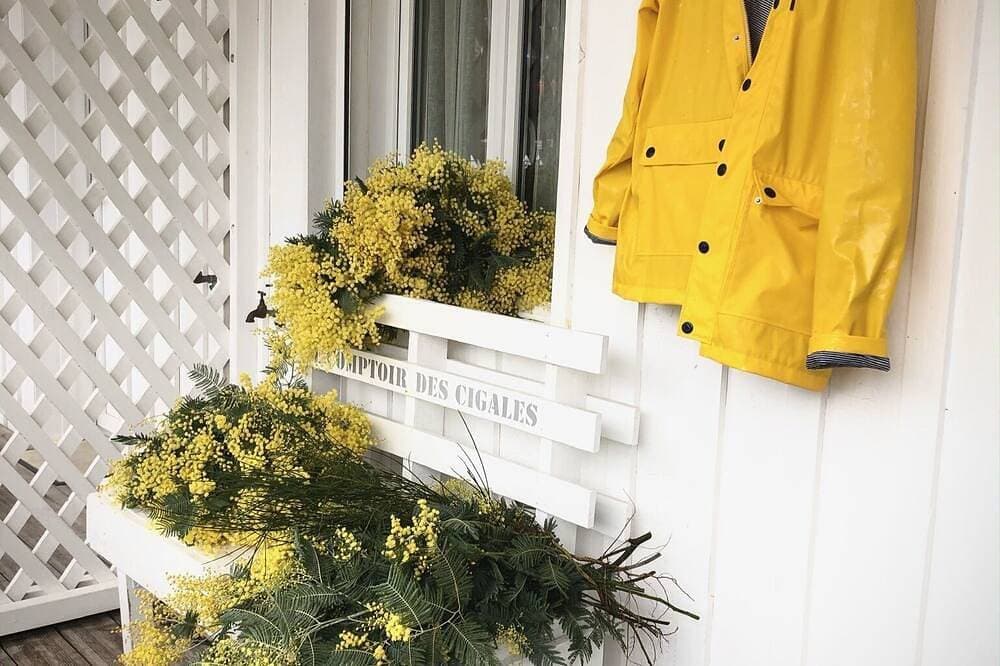 Wohnung mit Garten auf der Halbinsel Cap Ferret 1