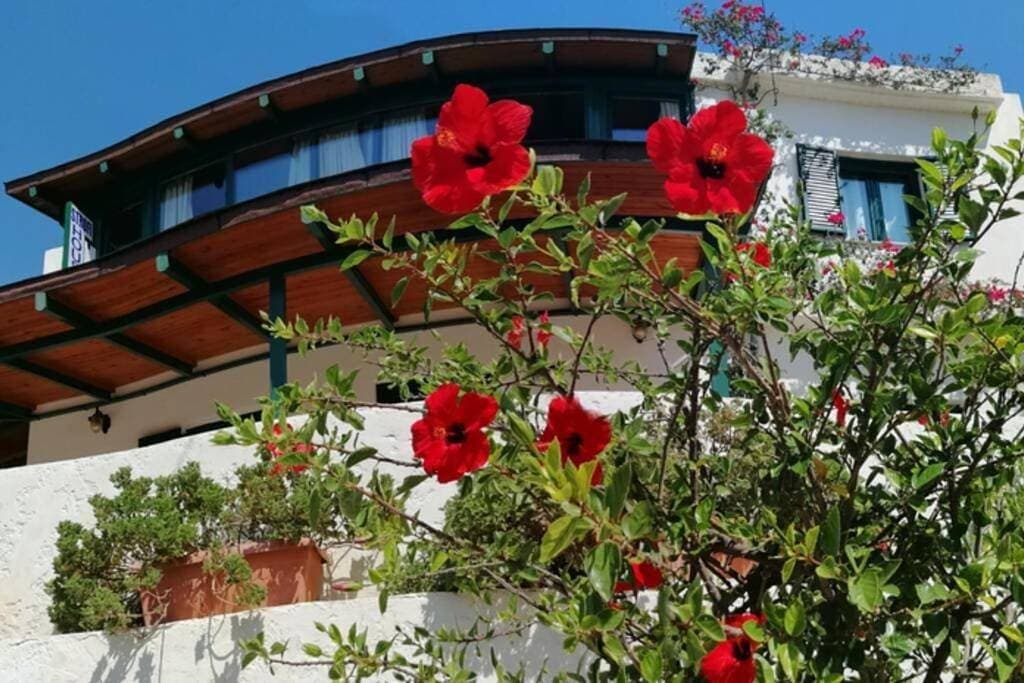 Strofi House 1