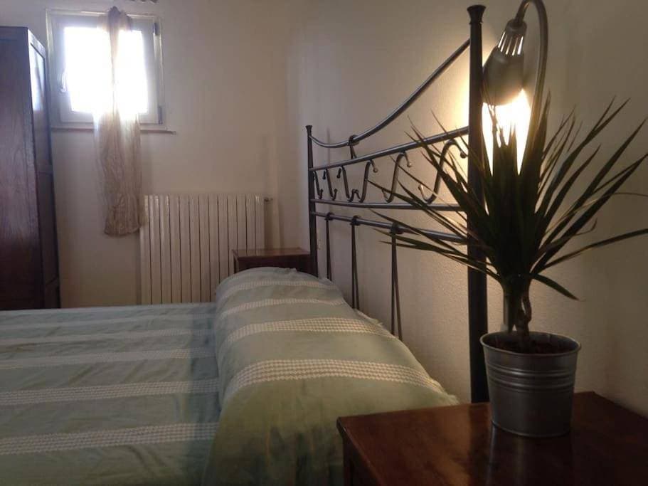 Foto 10 von 29: Double Room with Lake View
