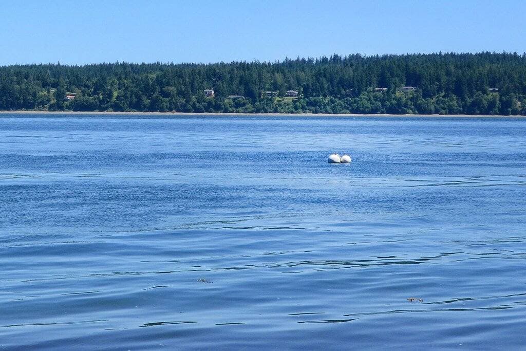 Foto 12 von 20: Übernachten Sie in einem schönen Beach Cottage mit einem wunderschönen Privatstrand am Hazel Point!