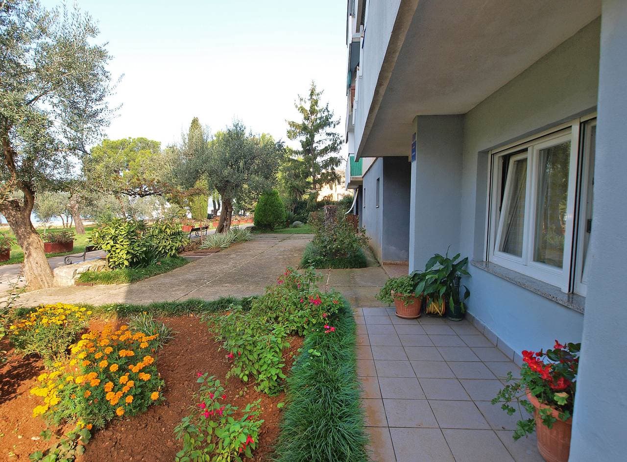 Foto 5 von 23: Ferienwohnung für 4 Personen mit Terrasse