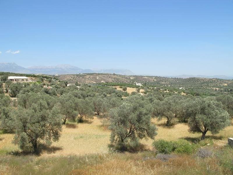 Foto 7 von 43: Villa Sofia