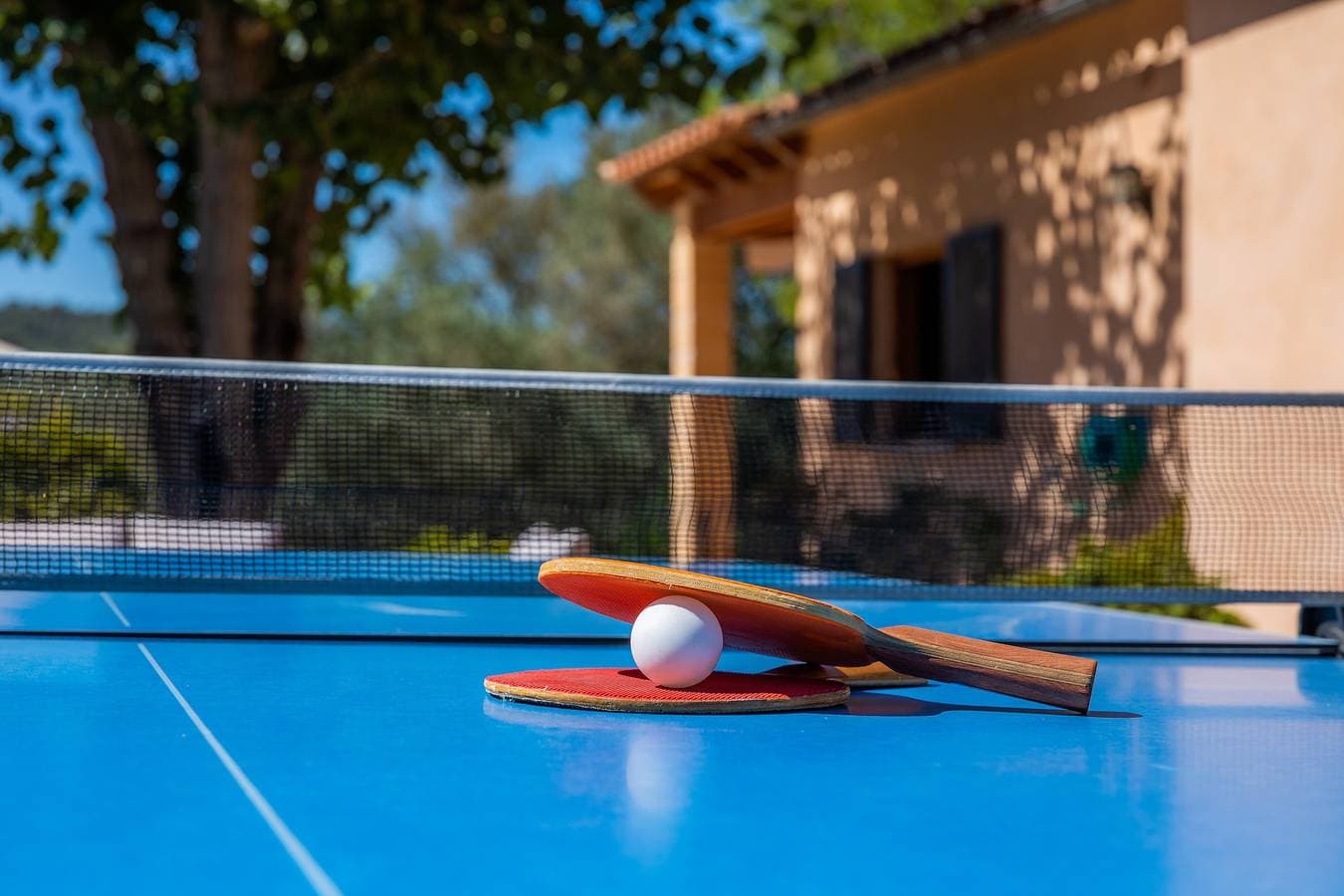 Foto 9 von 36: Antike Finca Es Clonenell mit WLAN, Garten, Terrass und Pool; Parkplätze vorhanden, Haustiere erlaubt