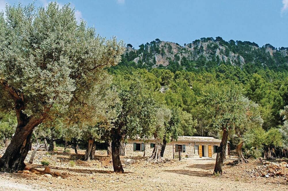 Foto 9 von 26: Beautiful home in Estellencs