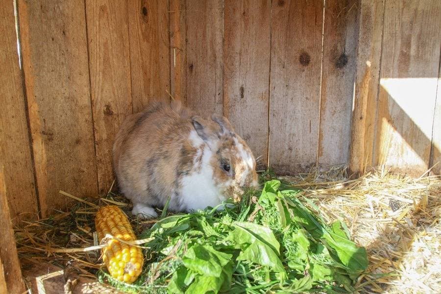 Foto 5 von 10: Beim Appertinger - Doppelzimmer zum Hof